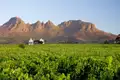Auf dem Weg nach Kapstadt kommen wir durch die Winelands, wo der gute südafrikanische Wein wächst. Das müssen wir probieren!