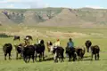 Ein Höhepunkt - auch im geographischen Sinne - ist der Aufenthalt in der Bergwelt des Königreiches Lesotho. Unterwegs mit Marco Polo Reisen in Südafrika, Eswatini und Lesotho.
