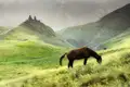 Auf Ihrer individuellen Rundreise durch Georgien unternehmen Sie einen Ausflug zur Gergeti-Dreifaltigkeitskirche - bei guter Sicht mit Ausblick auf den Kasbeg. Möglichkeit zu einer kleinen Wanderung.