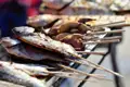 Gegrillter Fisch und Meeresfrüchte auf Spießen, eine lokale Spezialität, welche Sie bei Ihrer Reise nach Lillehammer in Norwegen probieren können.