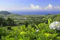 Panoramablick auf eine grüne Hügellandschaft auf den Azoren und das Meer im Hintergrund,