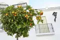 Der Duft von Orangenbäumen begleitet uns auf unserer Rundreise durch Andalusien, auf der wir die hellen Dörfer und historische Städte erkunden.