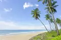Auf unserer Marco Polo Top Preis Reise nach Sri Lanka sind entspannte Tage am meer schon im Programm dabei.