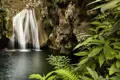 Mit Wanderschuhen im Tropengrün: Auf unserer Wanderung zum Wasserfall Javira führt der Weg durch üppige tropische Vegetation. Badesachen dabei? Das glasklare Wasser ist herrlich erfrischend - nur eines der vielen Erlebnisse auf der Marco Polo-Reise durch Kuba!
