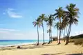 Auf Ihrer Marco Polo-Reise durch Kuba bleibt genügend Zeit für Sonne, Strand und Meer bei einem Aufenthalt auf Cayo Santa María, einem Paradies mit weißem Sandstrand, kristallklarem Wasser und karibischem Flair.