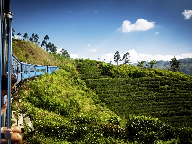 Auf unserer Rundreise durch Sri Lanka steigen wir auch mal auf den Zug um und fahren durch üppig grüne Teeplantagen.