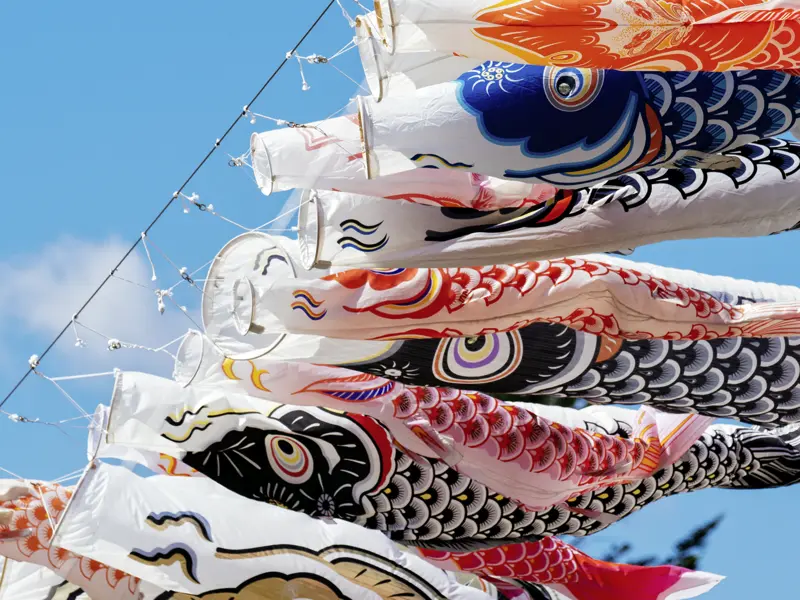 Auf unserer Rundreise durch Japan begleiten uns immer wieder im Wind flatternde Koi-Nobori, die traditionellen Windsäcke.