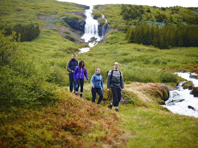 Auf unserer Entdeckerreise durch Island wandern wir durch die grüne Wiesenlandschaft an einem Bach entlang zum Wasserfall Dettifoss.
