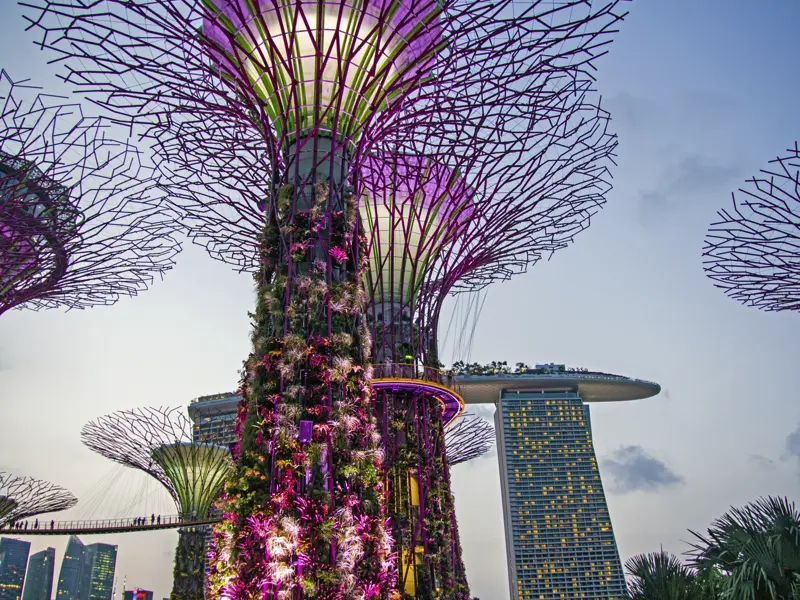 Zum Auftakt dieser Rundreise entdecken Sie das multikulturelle Singapur mit Little India, Arabischem Viertel und Chinatown und bewundern die Blütenpracht in den futuristischen Gardens by the Bay.