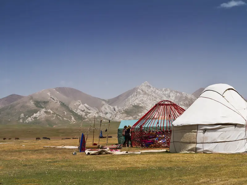 Auf unserer Rundreise durch Usbekistan und Kirgisistan verbringen wir am Son-Kul zwei Nächte in einem Jurtencamp - um uns herum nur Natur, Schafe und Pferde.