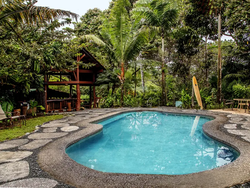 Auf unserer Marco Polo Rundreise verbringen wir drei Nächte in der Tiskita Jungle Lodge, einer Ökolodge in einem Privatreservat mitten im Regenwald im wilden Süden Costa Ricas.