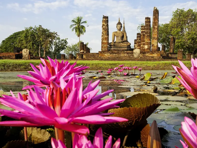 Ein magischer Moment auf Ihrer individuellen Rundreise durch Thailand: die große Buddhastatue, umgeben von Seerosen im Geschichtspark Sukhothai. Vor Ort erfahren Sie mehr über die Geschichte der alten Königsstadt.