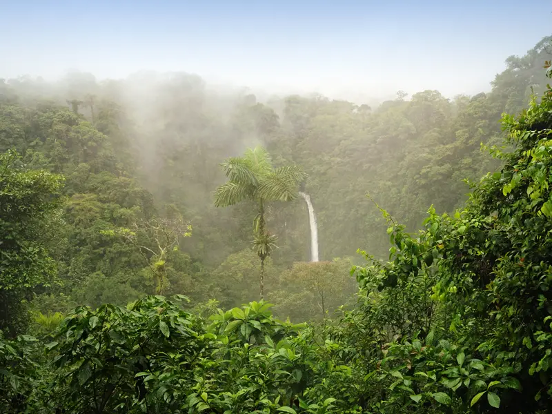 Ihre individuelle Rundreise durch Costa Rica führt Sie in mehrere Nationalparks: Die üppige Flora und Fauna, Baumriesen, Flüsse und Wasserfälle werden auch Sie in ihren Bann ziehen.