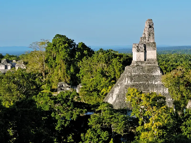 Eines der Highlights Ihrer individuellen Rundreise durch Guatemala ist Tikal - hier versteckt sich im Dschungel eine ganze Stadt, die Sie ausführlich erkunden können.
