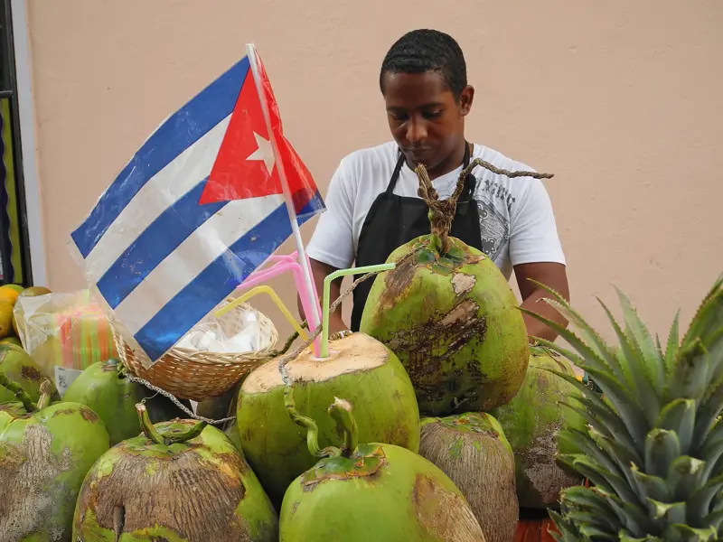 Ideal als Erfrischung zwischendurch auf Ihrer individuellen Rundreise durch Kuba und 100 % ökologisch verpackt: das Wasser einer frisch aufgeschlagenen Kokosnuss.