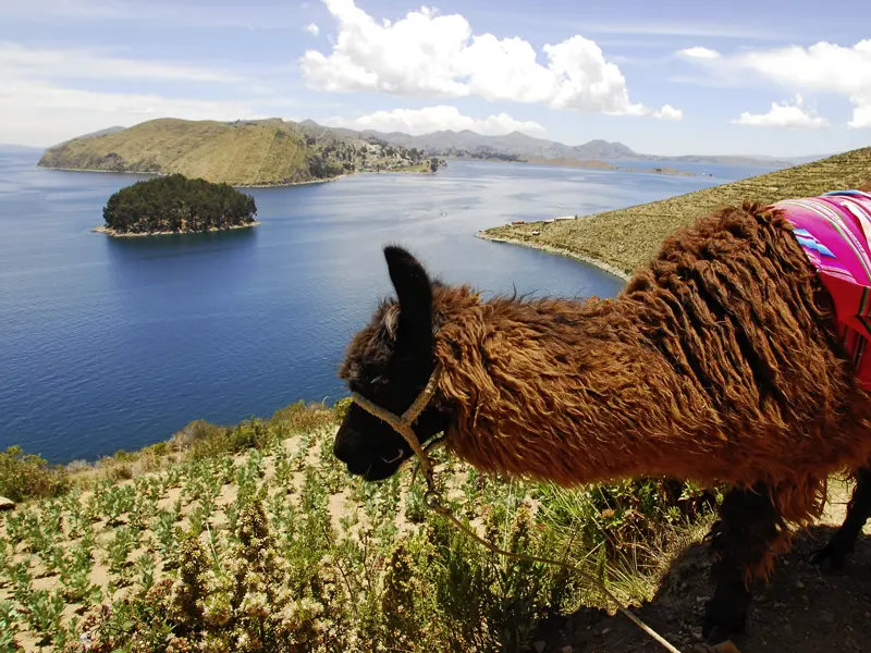 Eine Station auf Ihrer individuellen Rundreise durch Südamerika ist der Titicacasee, wo Sie den Urus und der Insel Taquile einen Besuch abstatten.