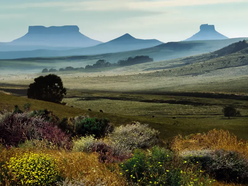 Auf Ihrer individuellen Rundreise durch Südafrika erwartet Sie nicht nur eine überwältigende Tierwelt im Krüger-Nationalpark, sondern auch beeindruckende Landschaftserlebnisse unterwegs.