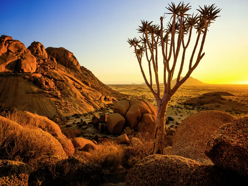 Auf Ihrer individuellen Rundreise durch Namibia geht es durch die raue Landschaft der Tsarisberge in die Namibwüste.