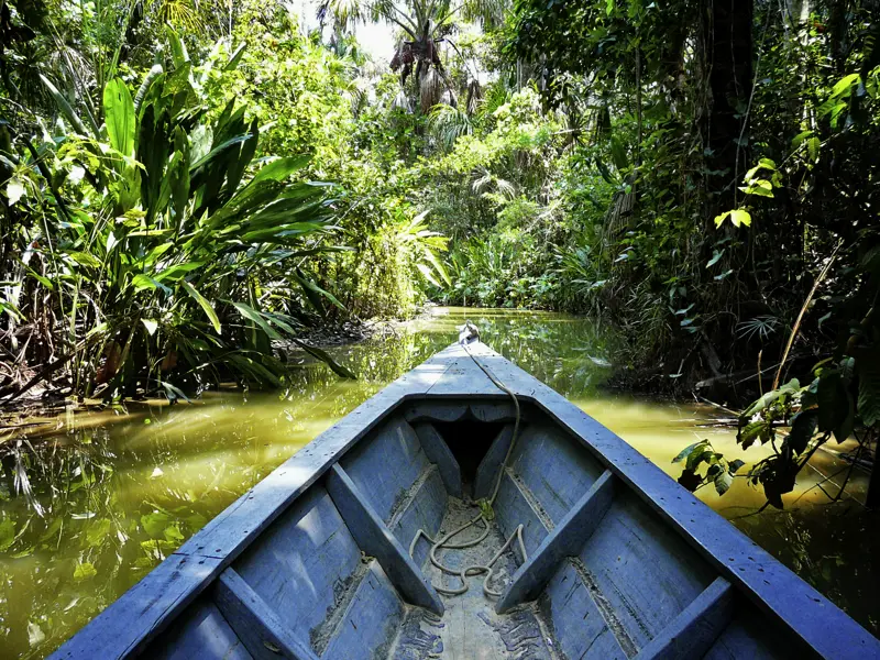 Bei unserer Rundreise durch Peru unternehmen wir auch eine Exkursion per Boot auf dem Wasserweg durch den Regenwald. Ob sich auch Affen, Tukane und Aras blicken lassen?