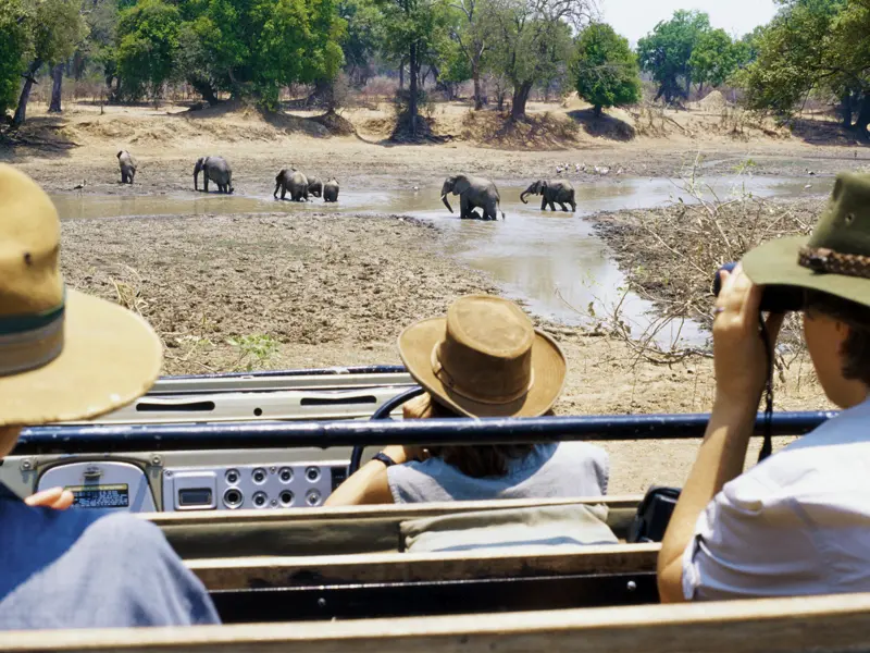 Safari im Krügerpark: Mit etwas Glück bekommen Sie die Big Five der Großwildjäger zu sehen: Elefanten, Nashörner, Büffel, Löwen und Leoparden.