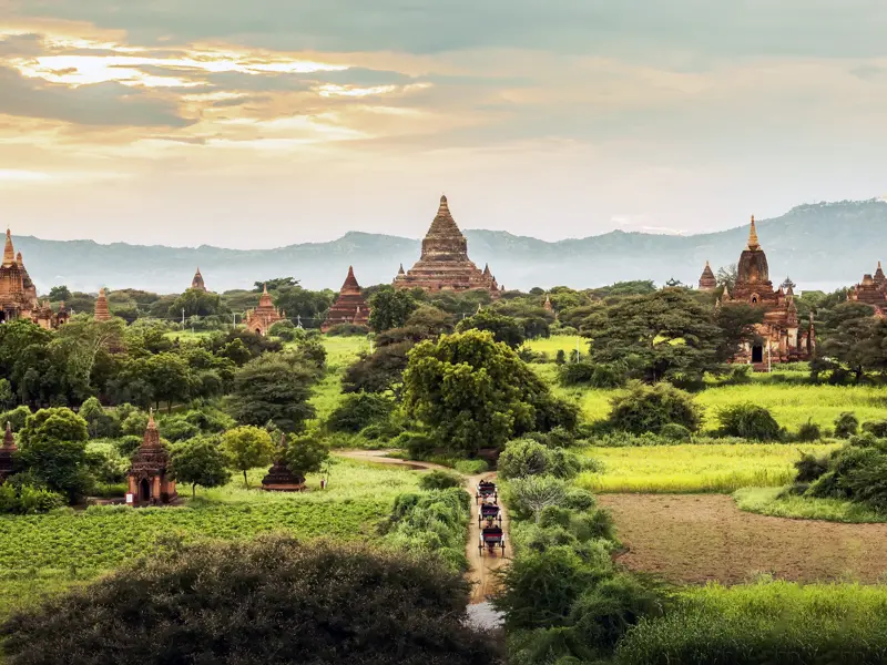Bagans Pagodenlandschaft zeigt sich zu Beginn der Trockenzeit ab November in zarten Grün- und Brauntönen. Dann ist unsere Fahrt mit den Pferdekutschen besonders schön.