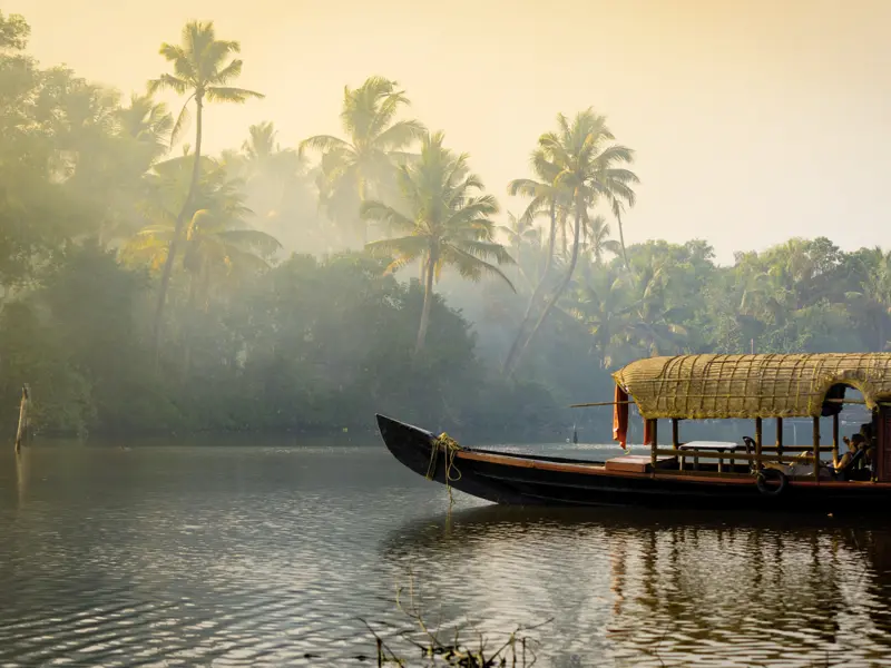 Auf unserer Rundreise durch Südindien in den Backwaters: Wir blicken morgens aus unserem Homestay und sehen, wie der Tag erwacht.