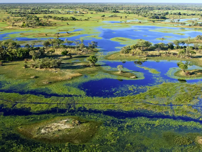 Das Okavangodelta in Botswana gehört zum UNESCO-Welterbe. Die sommerlichen Regenfälle über dem Hochland von Angola erreichen mit mehrmonatiger Verzögerung das Binnendelta in Botswana zum Wasserhöchstand im Mai und Juni.