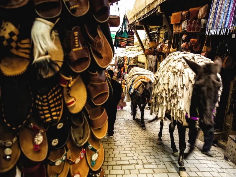 Ohne Esel geht in den marokkanischen Altstädten gar nichts.