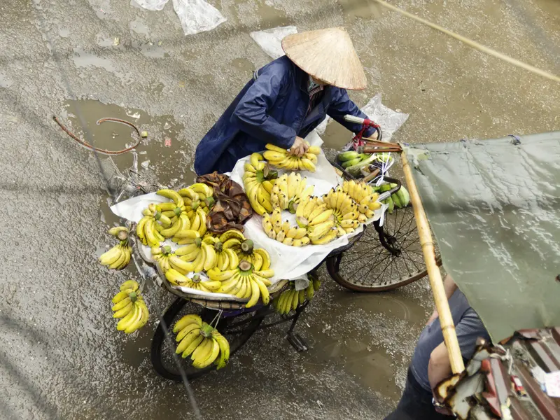Auf Ihrer individuellen Reise durch Vietnam werden Sie im Gewimmel in der Altstadt von Hanoi immer wieder Obstverkäuferinnen mit ihren Fahrrädern sehen.