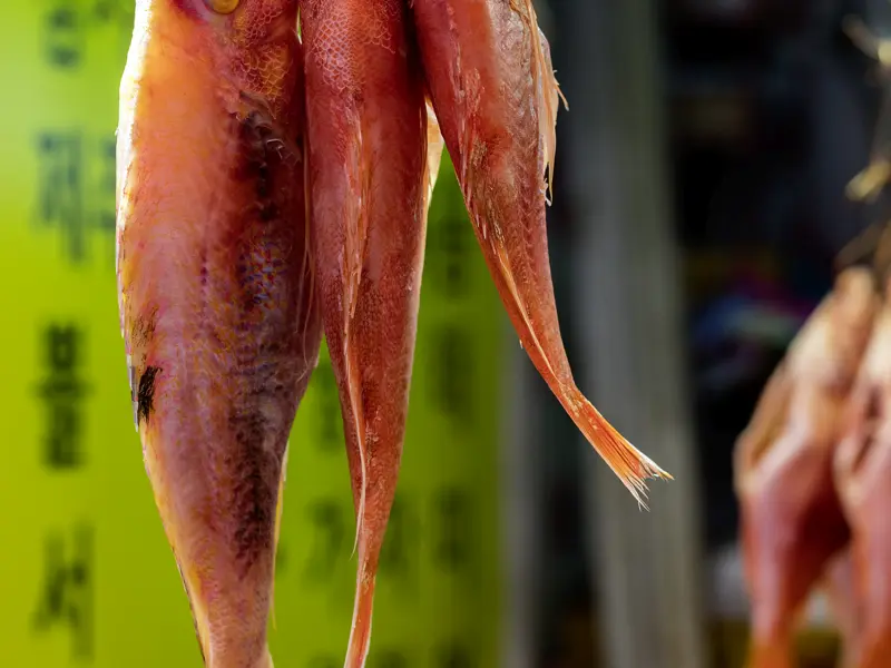 Auch auf dem Programm Ihrer individuellen Rundreise durch Südkorea: ein Bummel über den Jagalchi-Fischmarkt in Busan mit seinem überwältigenden Angebot an Fischen und Meeresfrüchten.