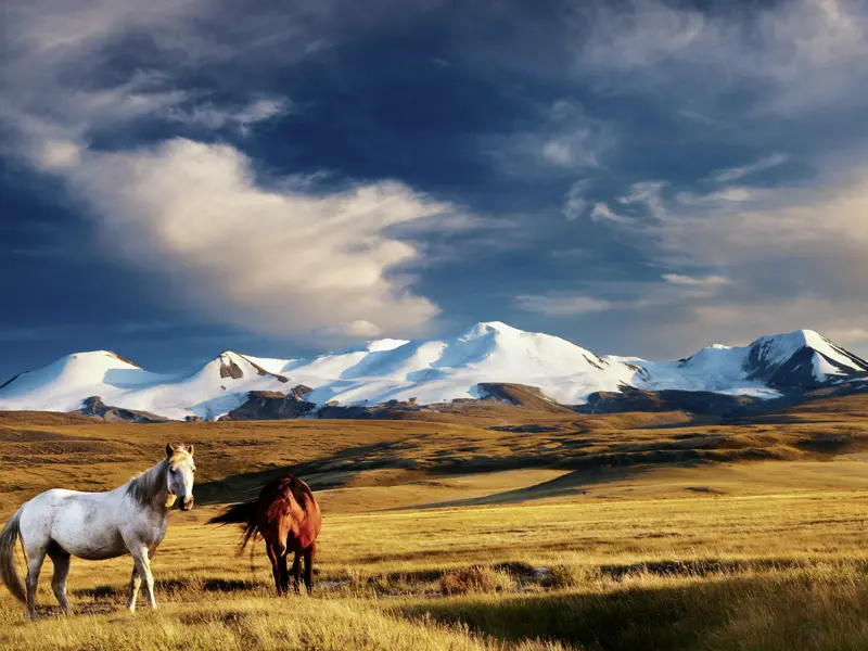 Auf Ihrer individuellen Rundreise durch die Mongolei erkunden Sie unter anderem von drei Jurtencamps aus Steppenlandschaften und Naturspektakel wie die Singenden Dünen und die Flammenden Klippen.