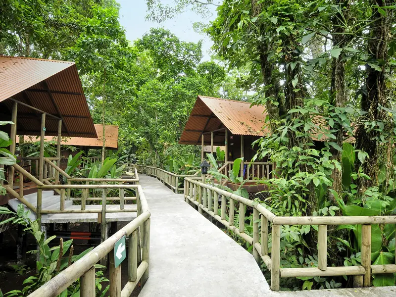 Auf Ihrer individuellen Rundreise durch Costa Rica ist die Aninga Lodge im Tortuguero-Nationalpark der perfekte Ausgangspunkt für Tierbeobachtungen am Morgen.