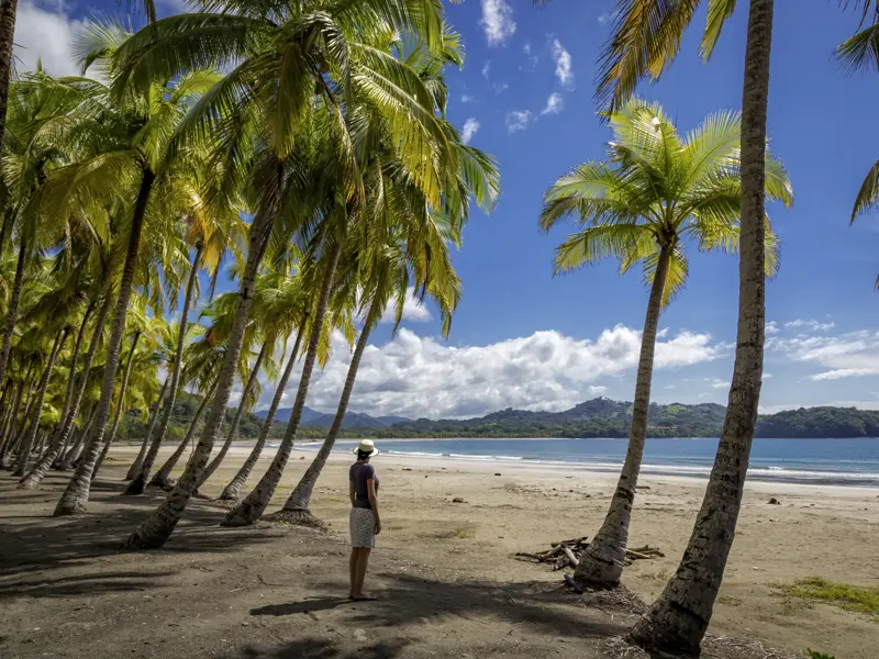 Das perfekte Finale Ihrer individuellen Rundreise durch Costa Rica: Badetage auf der Halbinsel Nicoya - blauer Himmel, kristallklares Wasser, Palmen und Sandstrand laden zum Relaxen ein.