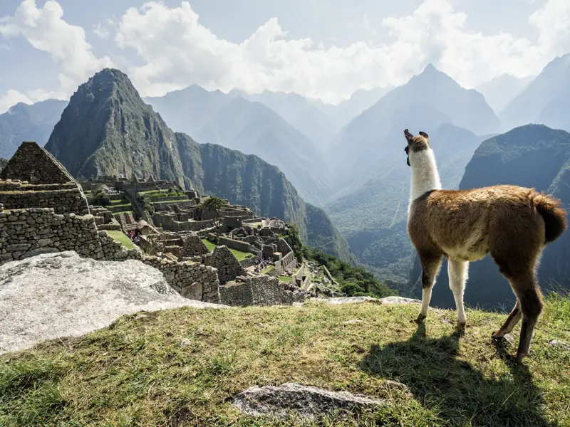 Dieser Ausflug bleibt Ihnen bestimmt unvergessen: Auf Ihrer individuellen Rundreise durch Peru und Bolivien geht es auch nach Machu Picchu, der jahrhundertelang vom Dschungel überwucherten und vergessenen Inkastadt.