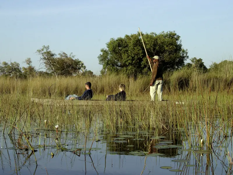 Auf Ihrer individuellen Rundreise durch Botswana sind Sie zwei Tage zu Land und zu Wasser im Okavangodelta unterwegs.