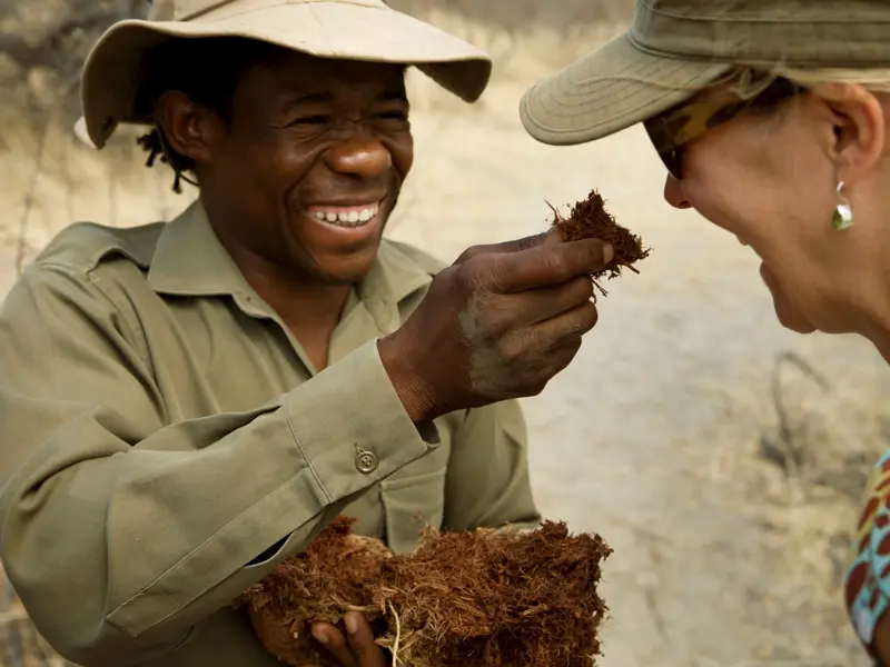 Im Okavangodelta, einer Station Ihrer individuellen Rundreise durch Botswana,  folgen Sie Ihrem Ranger zum Bush Walk - er zeigt Ihnen, wie man Spuren liest und im Busch überlebt.