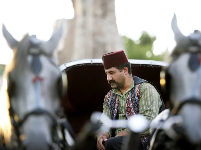 Ein Kutscher mit seinen Pferden in Istanbul.