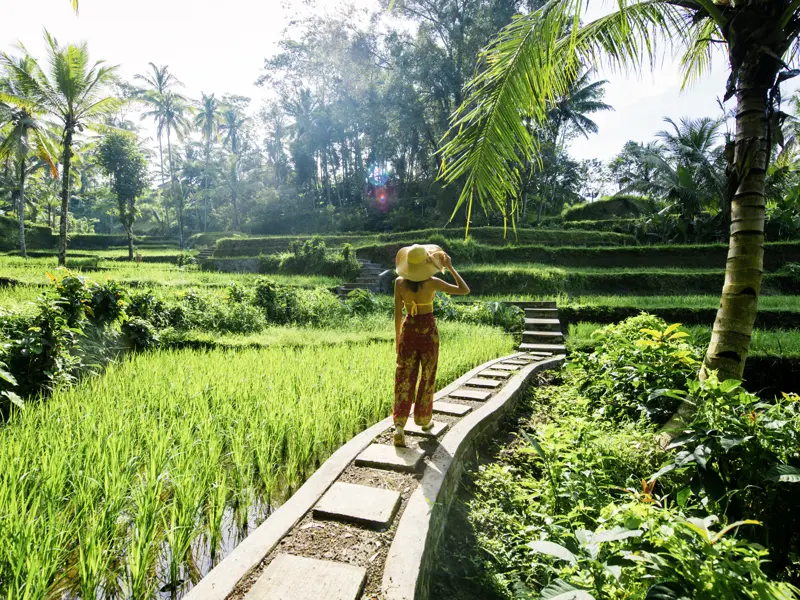 Auf dieser YOUNG LINE Reise nach Indonesien erkunden junge Traveller in der Gruppe die Reisterrassen von Bali.