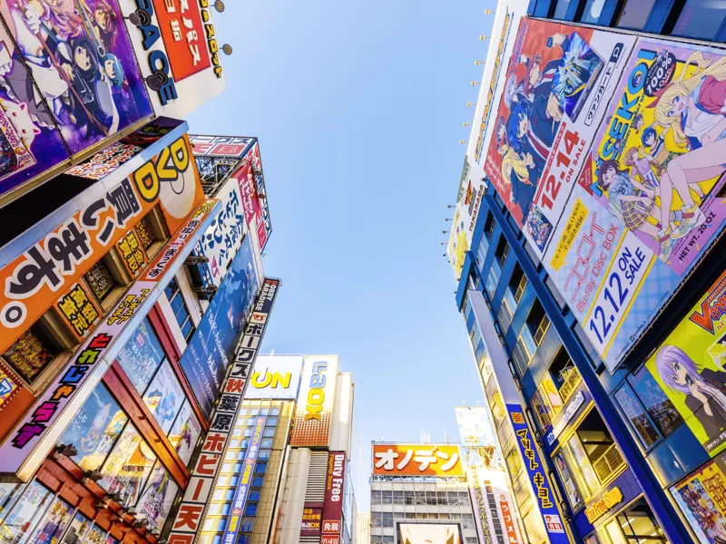 Auf unserer Rundreise durch Japan radeln wir durch die Hauptstadt Tokio - keine Angst vor lost in translation, wir haben unseren persönlichen Rad-Guide dabei.