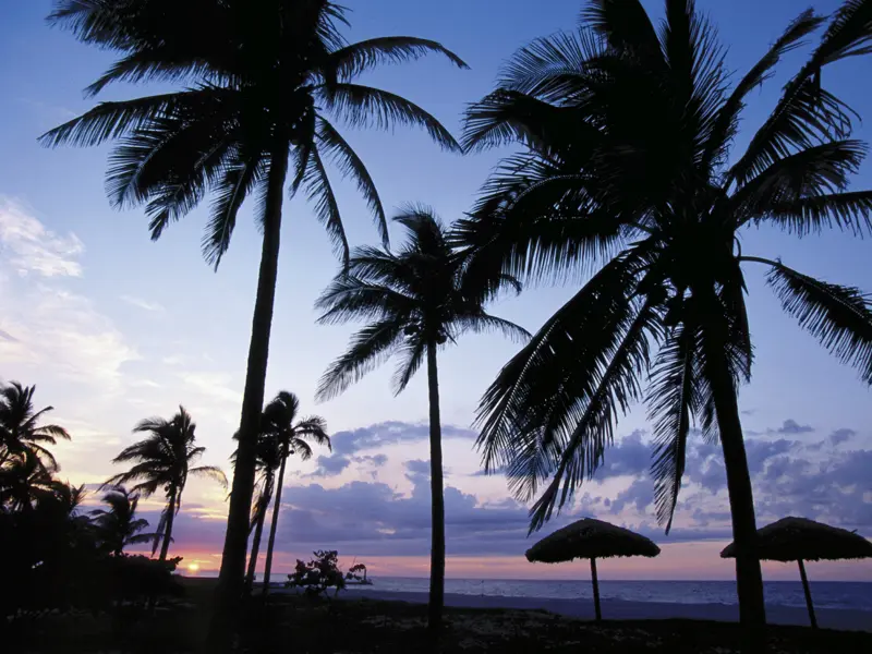 Am Karibikstrand Kubas genießen junge Singles den Sonnenuntergang.