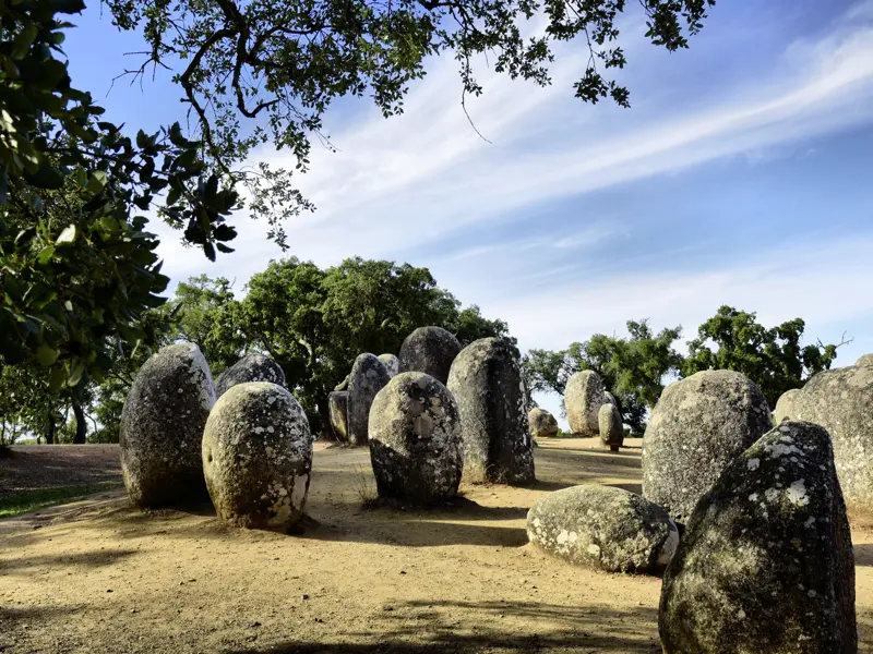 Mehr als 90 Menhire umfasst der prehistorische Steinkreis Cromeleque dos Almendres bei Evora, dem wir bei dieser Tour für Traveller ab 35 einen Besuch abstatten