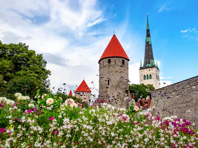 Beim Stadtrundgang durch Tallinn zeigt Ihnen Ihr Scout die Altstadt, die von einer gut erhaltenen Stadtmauer umgeben ist.