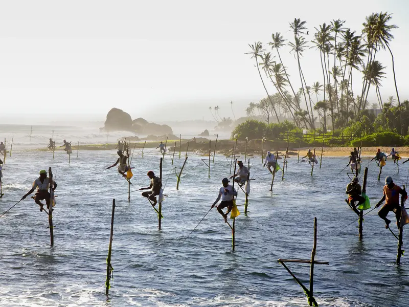 Auf Ihrer individuellen Rundreise durch Sri Lanka verbringen Sie Badetage an der Südwestküste und sehen die berühmten Stelzenfischer von Weligama.