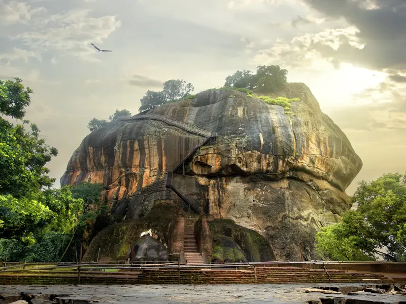 Auf Ihrer individuellen Rundreise durch Sri Lanka erklimmen Sie den Löwenfelsen von Sigiriya und bestaunen die Wolkenmädchen.