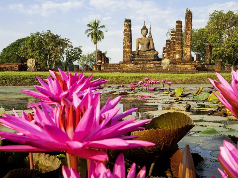 Ein magischer Moment auf Ihrer individuellen Rundreise durch Thailand: die große Buddhastatue, umgeben von Seerosen im Geschichtspark Sukhothai. Vor Ort erfahren Sie mehr über die Geschichte der alten Königsstadt.