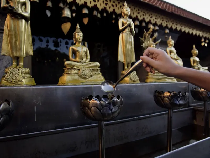In Chiang Mai bekommen Sie auf Ihrer individuellen Rundreise durch Thailand Einblicke in das spirituelle Leben der Buddhisten. Bei Sonnenaufgang folgen Sie im Wat Doi Suthep den Gläubigen und verteilen Almosen an die Mönche.