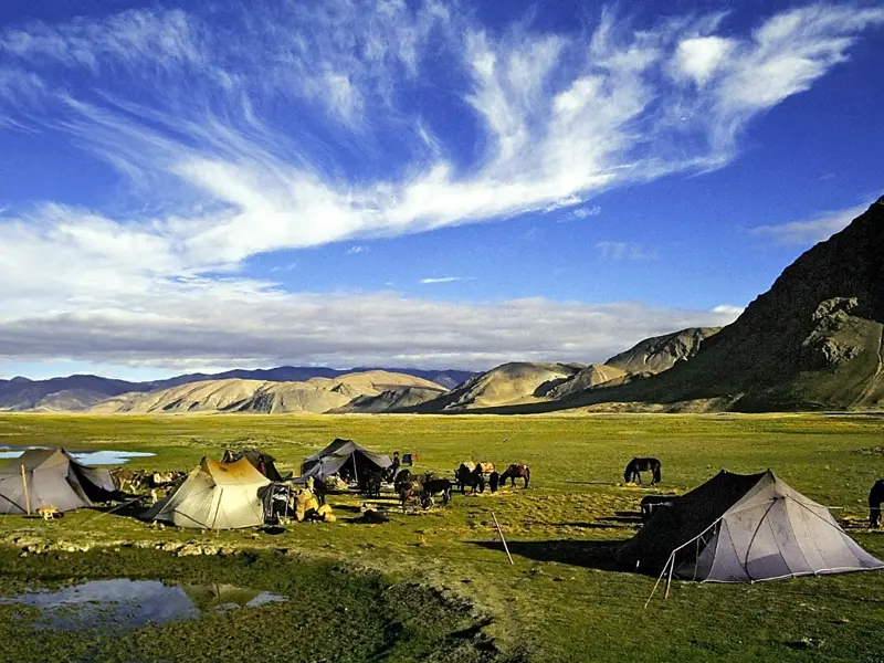 In Tibet treffen Sie noch auf Zelte und Pferde vor einer beeindruckenden Berglandschaft, die Bauern führen noch heute Ihre Tiere auf gründe Wiesen.