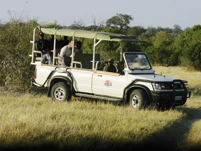 Die Game Drives erfolgen mit offenen Safarifahrzeugen. Lehnen Sie sich zurück, Ihr Ranger weiß genau, wo man die meisten Tiere sehen kann.