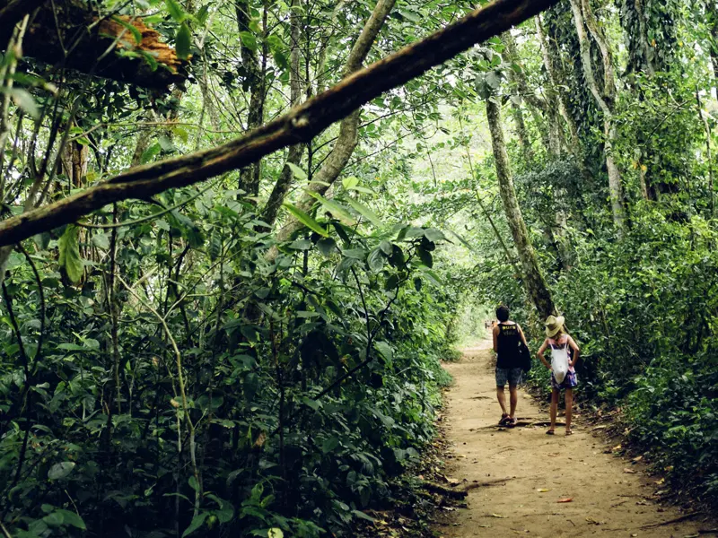 Auf dieser Rundreise durch Costa Rica gehören immer wieder Erlebnisse im Dschungel mit dazu.