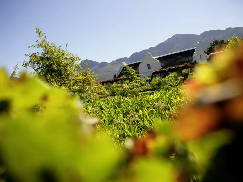 Auf der Marco Polo Rundreise inklusive: Bei Weinproben auf zwei Weingütern können wir uns ein Bild von der Qualität der Weine Südafrikas machen.